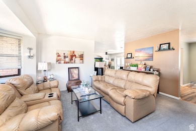 Living area with carpet