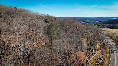 Lot-01 Langford Creek Rd, van Etten, NY 14889 - photo 3