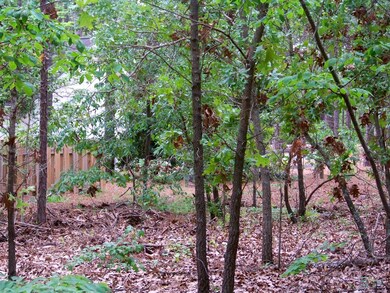 Lot at Rear