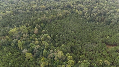 0 Scott Senter Rd, Fulton, MS 38843 - photo 7