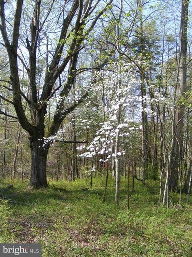 0 Meander Run Rd unit 1000402377, Madison, VA 22727 - photo 5