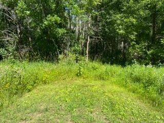 6.45 acres Dublin Rd, Byron, WI 54618 - photo 6