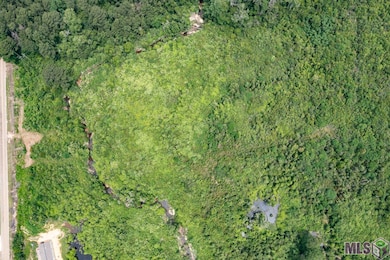 23060 Carson Rd, Pride, LA 70770 - photo 4