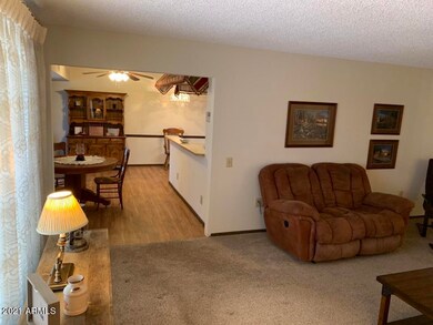 9734 W Appaloosa Dr, Sun City, AZ 85373 - photo 7