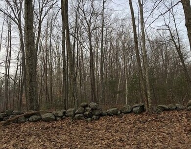 0 Carruth Rd, Templeton, MA 01468 - photo 3