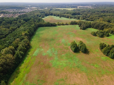 Drone / aerial view with a rural view