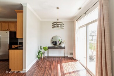 6720 Slate Dr unit 862, Carpentersville, IL 60110 - photo 4