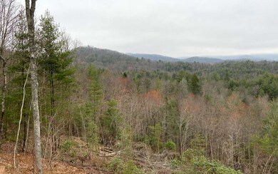 Additional View