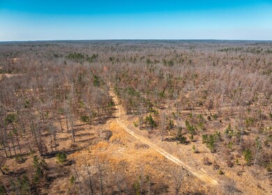 DJI_20240321134904_0142_D