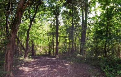 899 Pine Haven Rd, Clarkson, KY 42726 - photo 5