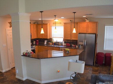 10733 Barnsford Ln, Helotes, TX 78023 - photo 4