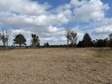 2443 Fm 1653, Ben Wheeler, TX 75754 - photo 4