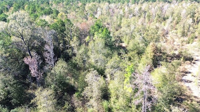 TBD Farm To Market 1280 E, Lovelady, TX 75851 - photo 5