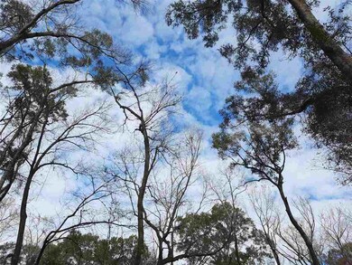 00 288th Terrace, Branford, FL 32008 - photo 3