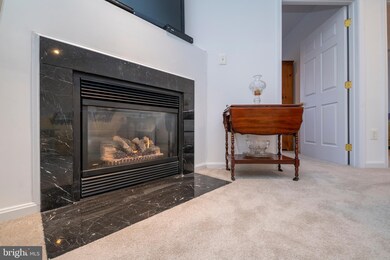 5004 Hollington Dr unit 102, Owings Mills, MD 21117 - photo 6