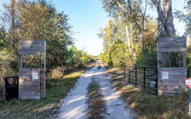 0 Tbd Cr 137, Wellborn, FL 32094 - photo 3