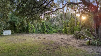 4905 Nesmith Rd, Plant City, FL 33567 - photo 4