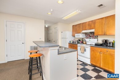 122 Yellowstone Dr unit 108, Charlottesville, VA 22903 - photo 5