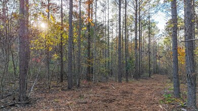 0 County Rd 95, Lafayette, AL 36862 - photo 3