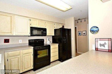 936 Bay Ridge Ave unit U302, Annapolis, MD 21403 - photo 5