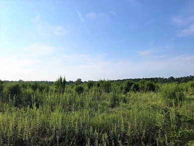 Tract 4 Mosley Rd, Uvalda, GA 30473 - photo 3