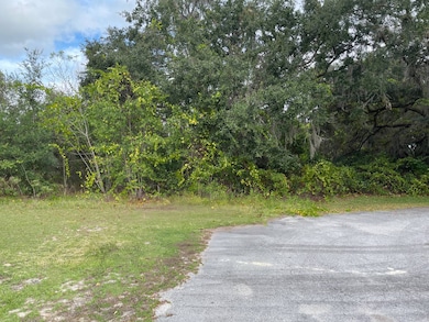 TBD SE 97th Ct, Summerfield, FL 34491 - photo 6