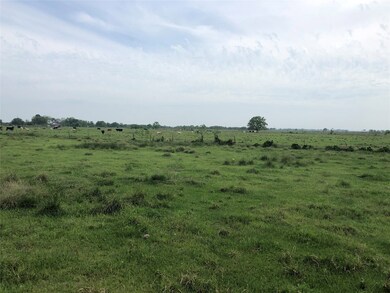 1901 Daily Rd, Rosenberg, TX 77471 - photo 4