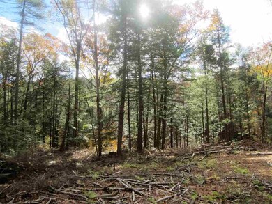 0 E Town Farm Rd unit 4606722, Putney, VT 05346 - photo 3