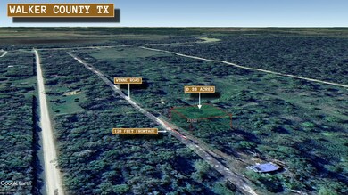 0 Wynne Rd unit Trinity TX 75862, Trinity, TX 75862 - photo 2