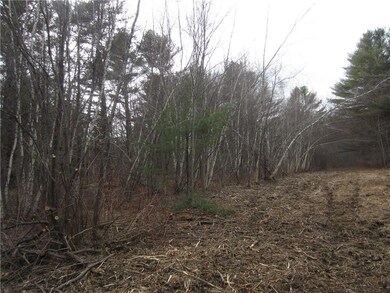 Lot 0 River Rd, Bowdoinham, ME 04008 - photo 4
