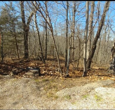 9 Wyndham Ln, Bella Vista, AR 72715 - photo 3