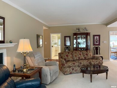 240 Lincoln Ave, Lincoln, IL 62656 - photo 6