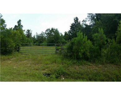 0 Lott McCarty Rd, Picayune, MS 39466 - photo 5