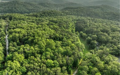 31 Grant Ln, Mineral Bluff, GA 30559 - photo 4