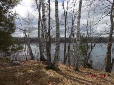 W9875 Cth J, Deerbrook, WI 54424 - photo 4