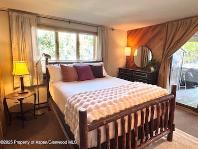 125 E Hyman Ave unit 1, Aspen, CO 81611 - photo 6