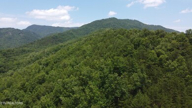 ridgetop