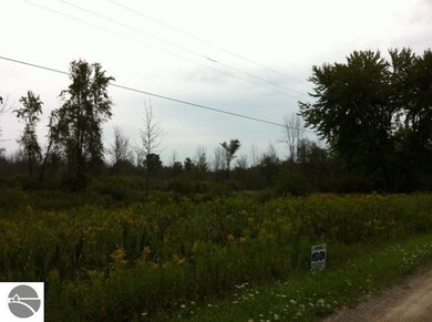 N/A Noggle Rd, Omer, MI 48749 - photo 6