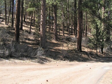 South East - looking up hill of Lot