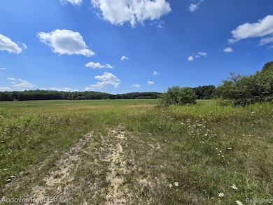 00B Leckrone Rd, Brown Township, MI 49619 - photo 5