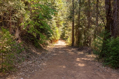 0 Drum Powerhouse Rd unit 225091514, Alta, CA 95701 - photo 3