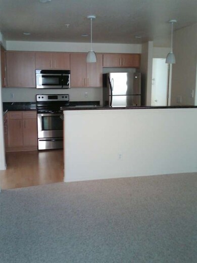 Granite Counters and Stainless Appliance