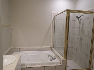 Jacuzzi and Separate Tile Shower
