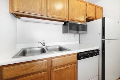 Kirchoff Meadows unit 306, Rolling Meadows, IL 60008 - photo 7