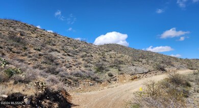 0 Goodenough Trail unit Lot 5 22525012, Vail, AZ 85641 - photo 6