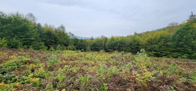 Lot 26 Skyline Dr, Hebron, NH 03241 - photo 5