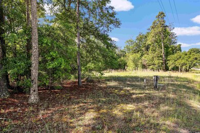 4614 Highway 905, Conway, SC 29526 - photo 3