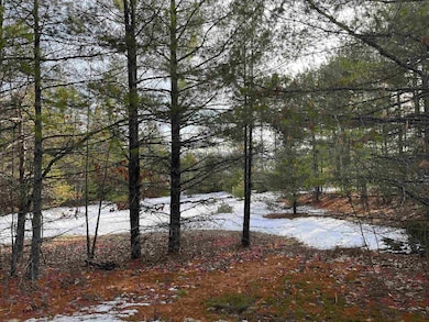 0 Knightland Rd, Bennington, NH 03442 - photo 2