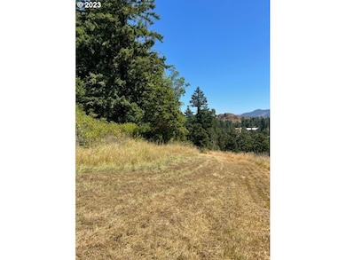 0 Harolds Rd unit 23451364, Dexter, OR 97431 - photo 5