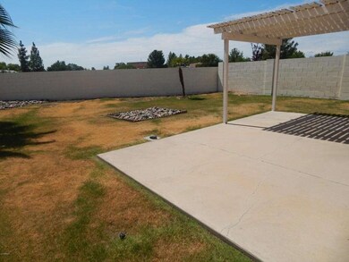 Large Back Yard